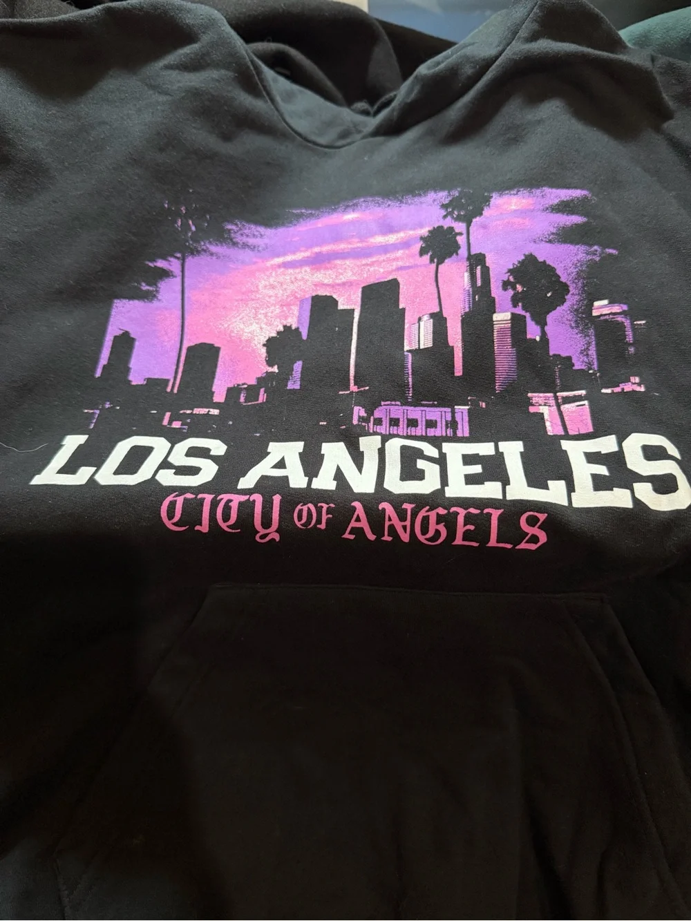 Black 'Los Angeles' Skyline Hoodie with Pink Accent Roses
